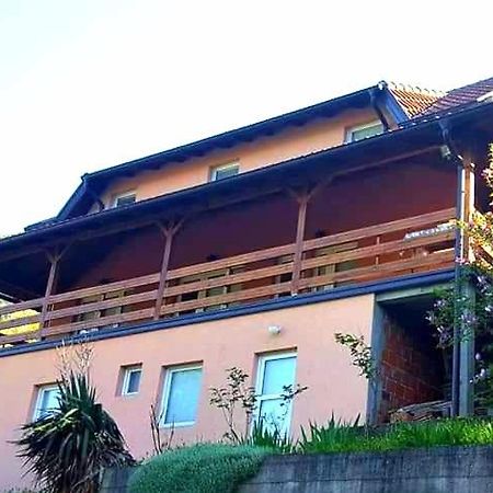 Apartment Dobra Vila 佩鲁恰茨 外观 照片